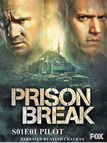 Prison Break (S01E01): Pilot Summary .